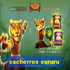 cachorros cururu